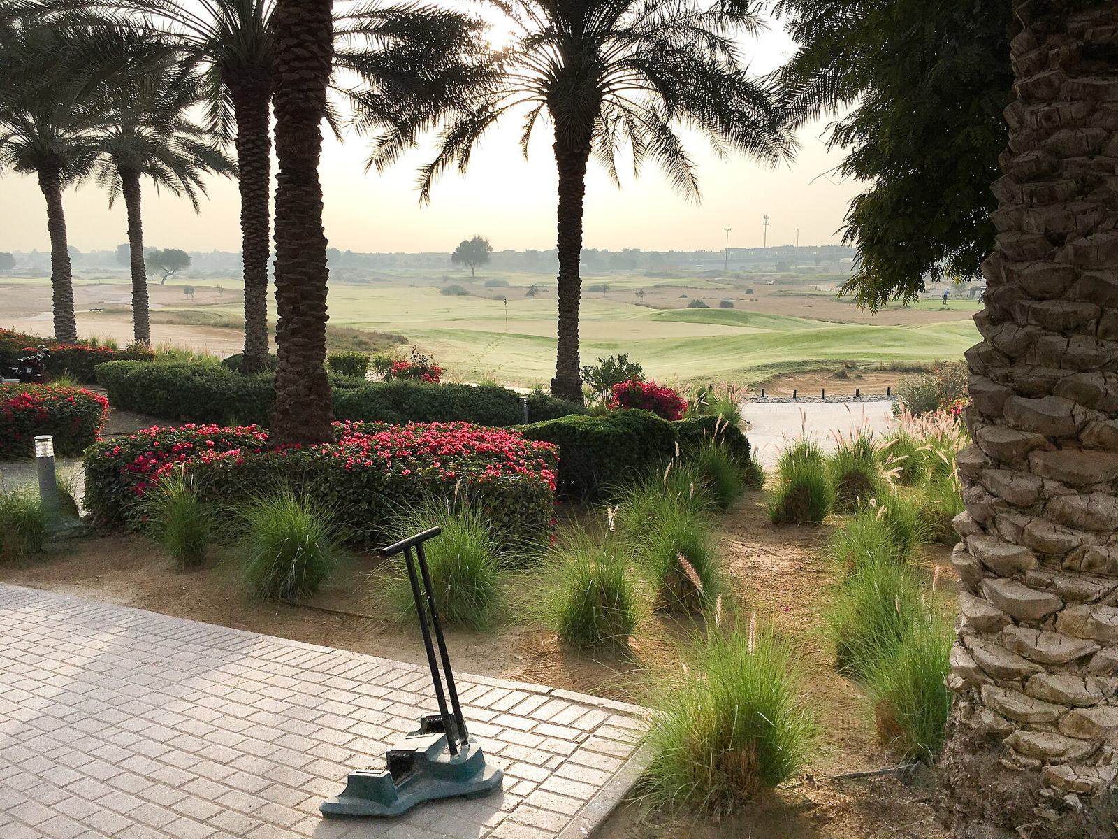 Golf course framed by palms, Dubai
